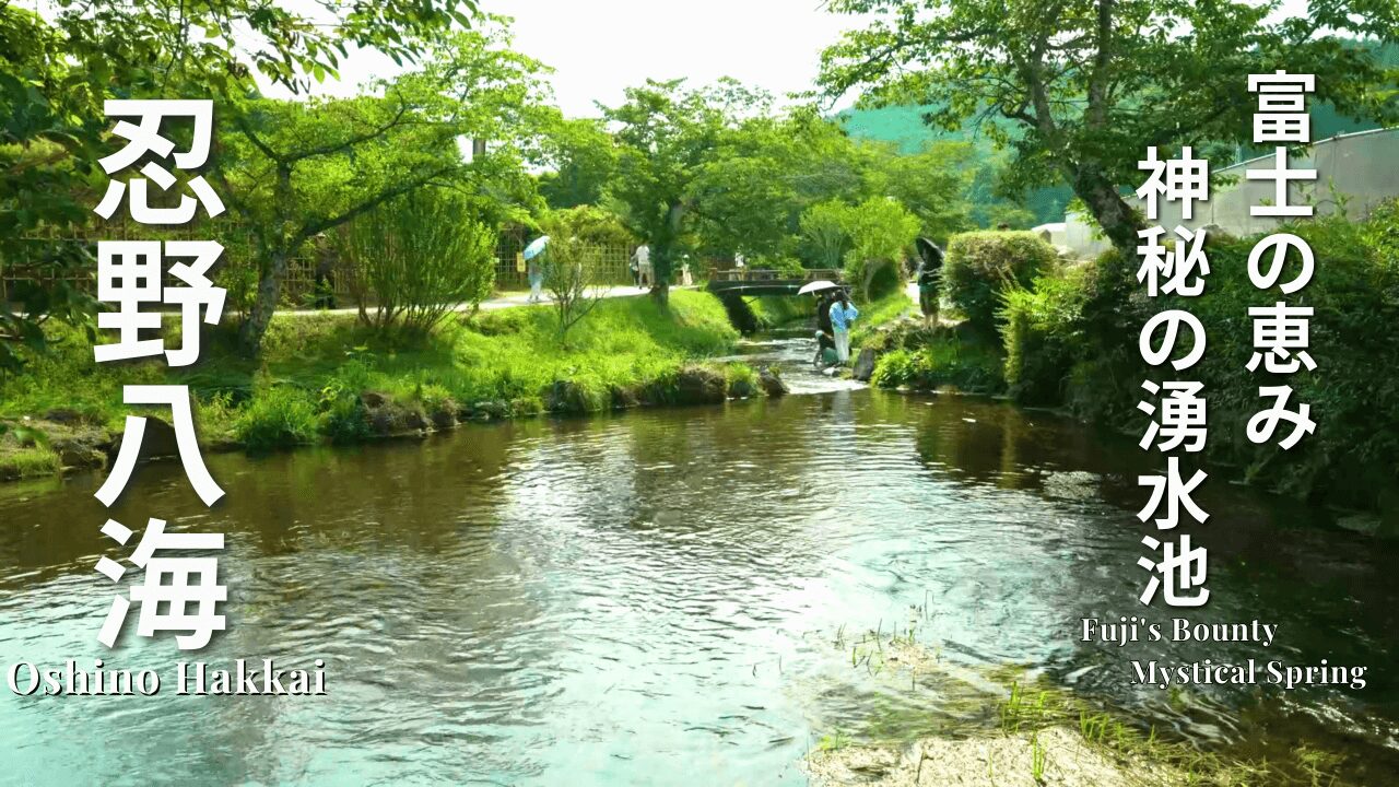 忍野八海 アイキャッチ