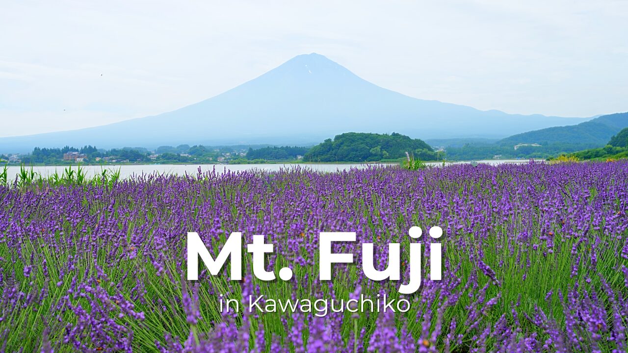 河口湖 1泊2日 富士山 忍野八海 白糸の滝 五重塔 大石公園 ふじさんデッキ_サムネイル